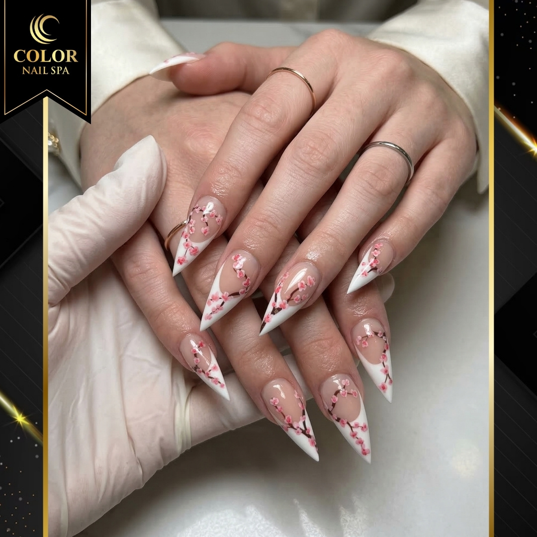 Color Nail Salon & Spa  (5)